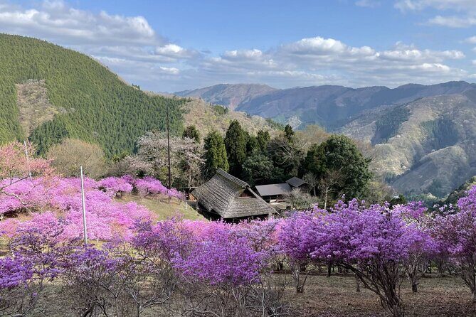 Tokyo Okutama Day Trip Tour - Hinohara Village and Kyu Kobayashike Jutaku: Old Japan Without the Museum Feel