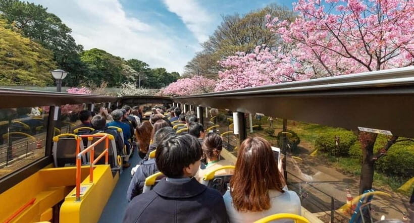 Tokyo: Open Top Panoramic Sightseeing Bus with Audio Guide - Why an Open-Top Bus Is a Smart Way to Start Tokyo