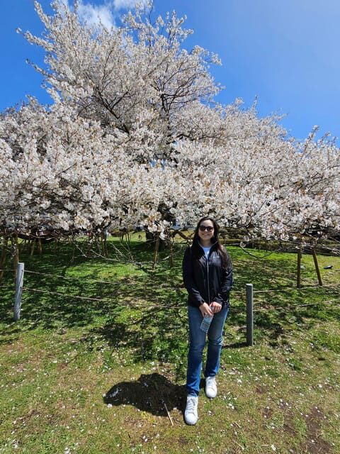 Tokyo: Personalized Half-day Tour - Who this personalized half-day tour suits best