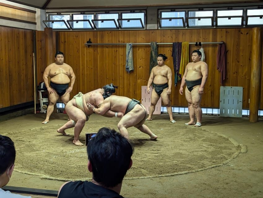 Tokyo: Personalized Half-day Tour - The guide-led flow: how your route typically comes together