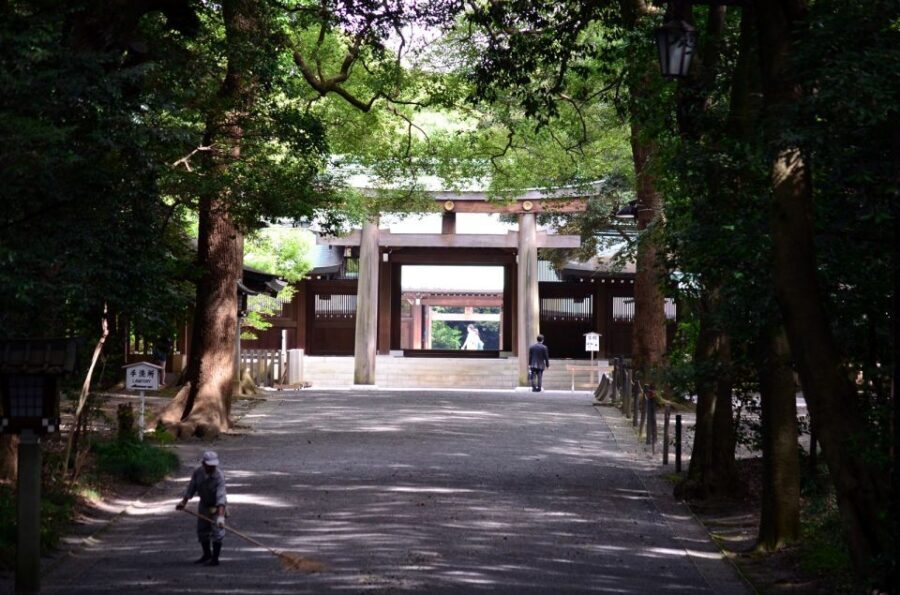 Tokyo: Personalized Private 6-Hour Tour - Shibuya: Modern Tokyo Energy With Scenic Views on the Way