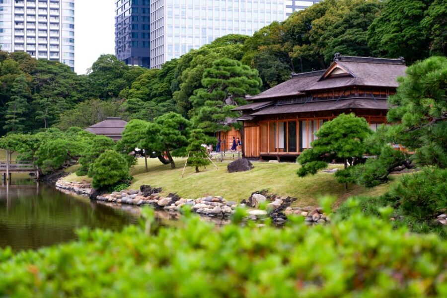 Tokyo: Personalized Private 6-Hour Tour - Meeting Your Guide and Getting Started Smoothly
