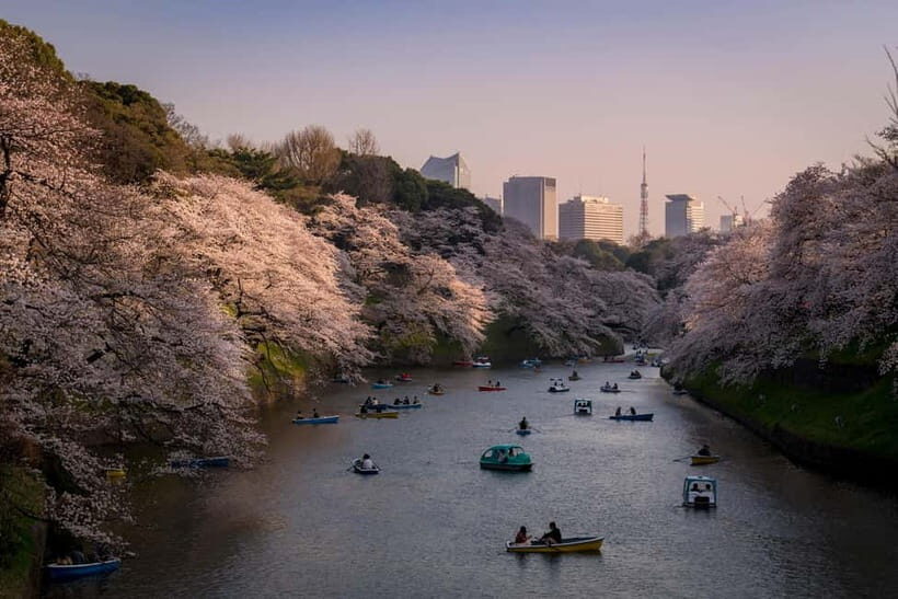 Tokyo: Photography Masterclass - Private Photo Lesson - Shibuya street photography: shooting the crossing and beyond