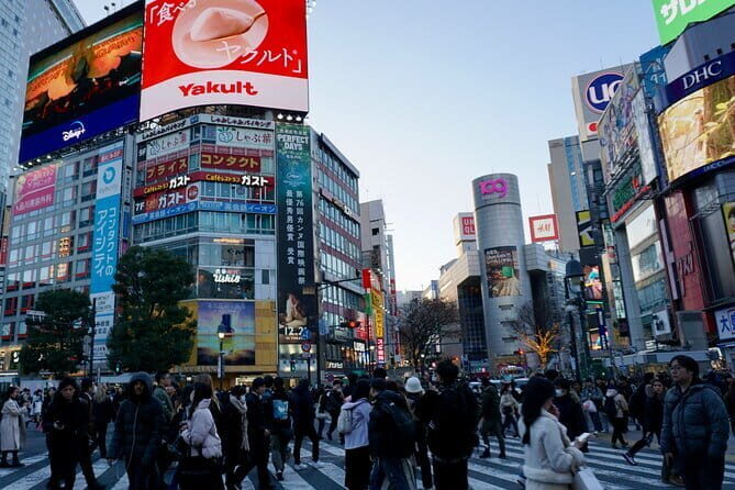 Tokyo Pre Japan Planning Kit Itineraries, Food & Survival - Day 3: Ueno Ameyoko market street and Akihabara electronics and anime