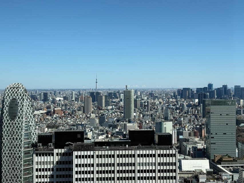 Tokyo: Private 1-Day Sightseeing Tour by Car with Guide - Tips to make the guide’s flexibility work for you