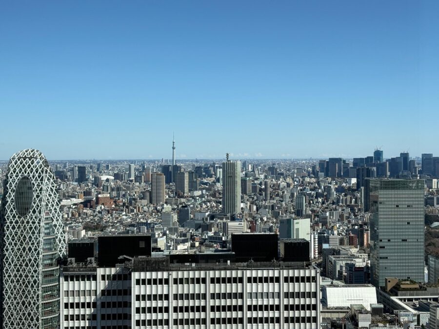 Tokyo: Private 1-Day Sightseeing Tour by Car with Guide - Should you book this private Tokyo car tour?
