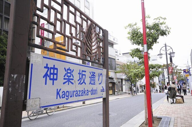 Tokyo Private Art Tour in Kagurazaka Shinjuku with Licensed Guide - Stop-by-stop: what you’ll get from Yayoi Kusama Museum