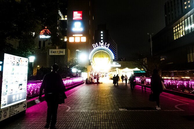 Tokyo Private Art Tour in Kagurazaka Shinjuku with Licensed Guide - Why a licensed guide changes the whole experience