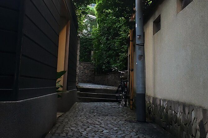 Tokyo Private Art Tour in Kagurazaka Shinjuku with Licensed Guide - Start in Shinjuku, end near Idabashi: the route logic