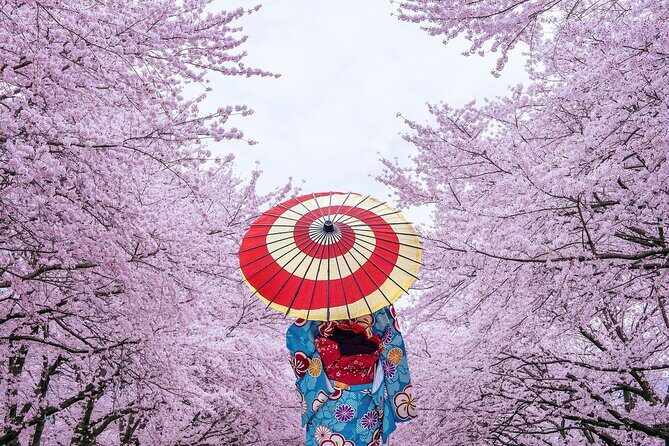 Tokyo Private Cherry Blossom Tour with a Local – Picnic Included - The Best Part: Picnic Time in Sumida Park With Skytree Backdrop