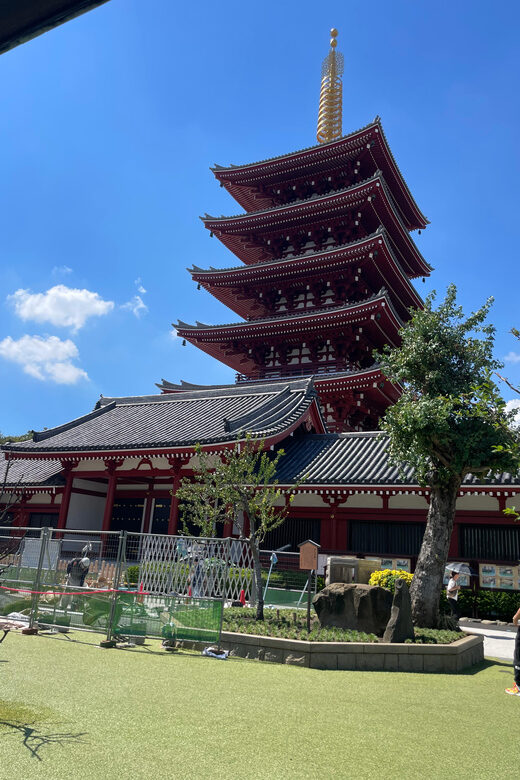 Tokyo: Private City Highlights Tour - A day of Tokyo icons with a guide who adjusts to you