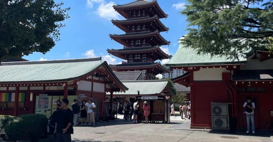 Tokyo: Private City Highlights Tour - Meiji Shrine: a quiet forest walk after the city noise