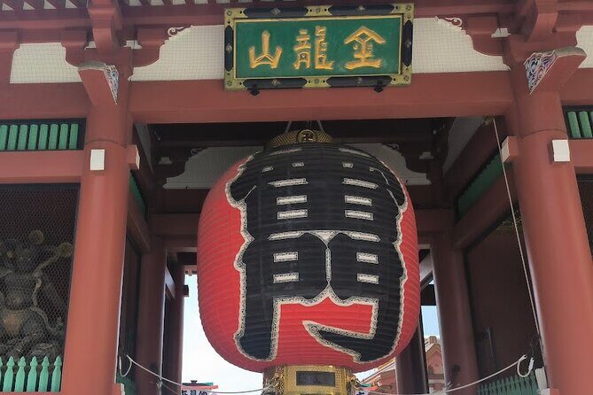 Tokyo Private Custom Tour with Local guide - Akihabara Radio Kaikan and Electric Town energy