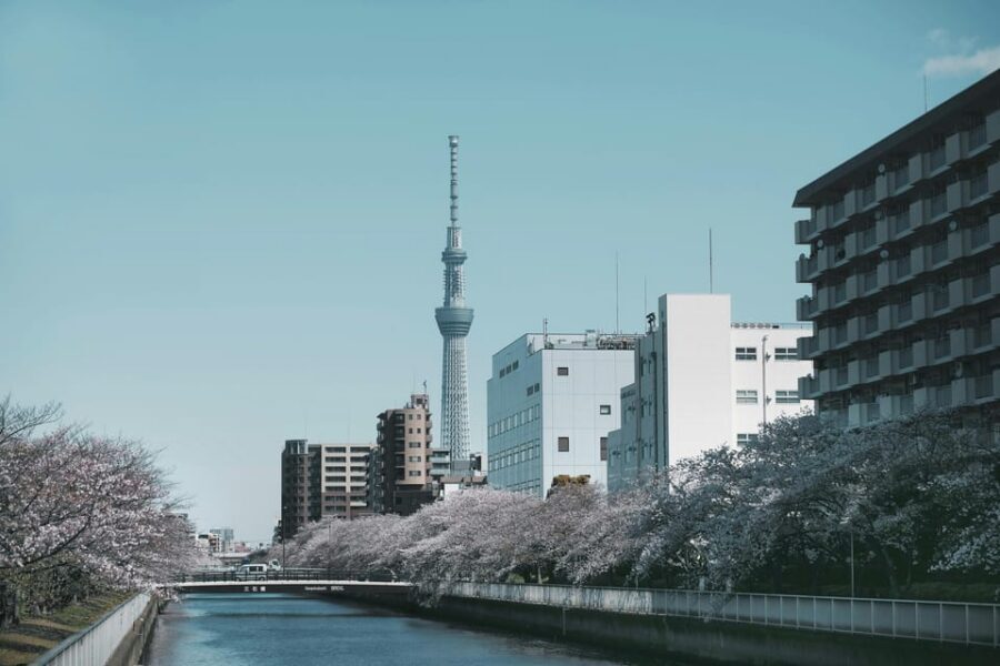 Tokyo: Private Customizable City Tour with Chauffeur - Tsukiji Outer Market and Asakusa Shrine: start with Tokyo’s sensory “intro”