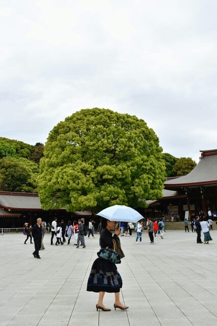 Tokyo: Private Customizable City Tour with Chauffeur - Shibuya Crossing and Omotesando: end with energy, then ease back