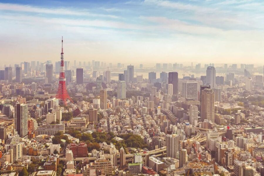 Tokyo: Private Customizable Day Tour of Tokyo - Key Points at a Glance