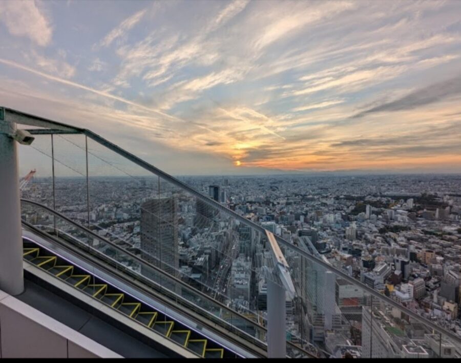 Tokyo: Private Customizable Day Tour with Chauffeur - Tsukiji Outer Market: seafood tasting without the guesswork