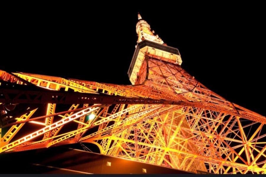Tokyo: Private Customizable Day Tour with Chauffeur - Meiji Shrine and Tokyo Imperial Palace: calmer stops between big sights