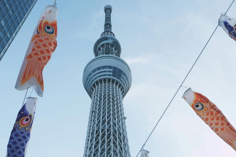Tokyo: Private Customizable Day Tour with Chauffeur - Pickup rules, coverage area, and the 60-minute driver wait