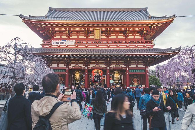 Tokyo Private Customizable Full Day Tour - Picking 4 to 5 stops: how the customization actually feels