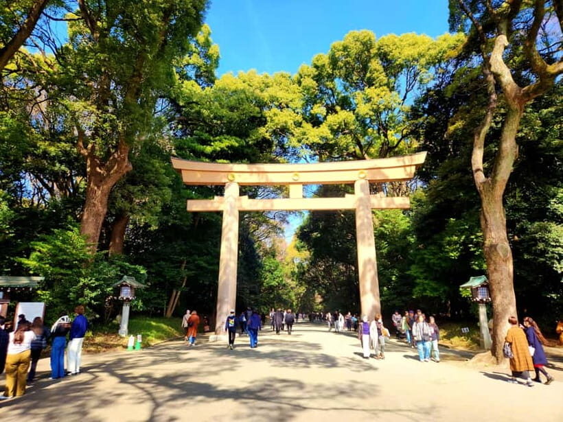Tokyo: Private & Customizable Tour - All-in-One Experience - Price and Logistics: Is $51 Per Person Actually Fair?