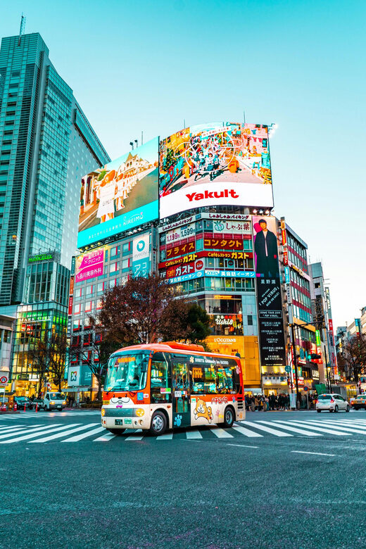 Tokyo: Private & Customizable Tour - All-in-One Experience - Half-Day Tokyo: Shrines, Busy Crossings, and Stories That Make Sense