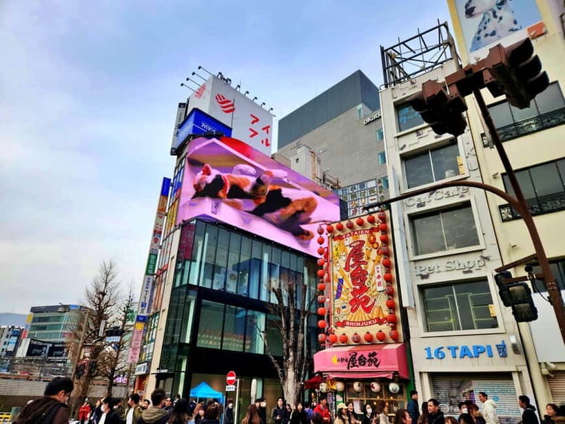 Tokyo: Private & Customizable Tour - All-in-One Experience - Parks and People-Watching: Cherry Blossom Days and City Etiquette