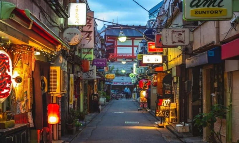 Tokyo: Private & Customizable Tour - All-in-One Experience - Who the Guides Actually Are (And Why That Matters)