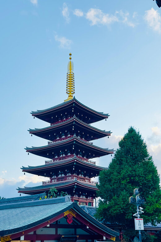 Tokyo: Private & Customizable Tour W/English Speaking Guide - Key highlights worth getting excited about