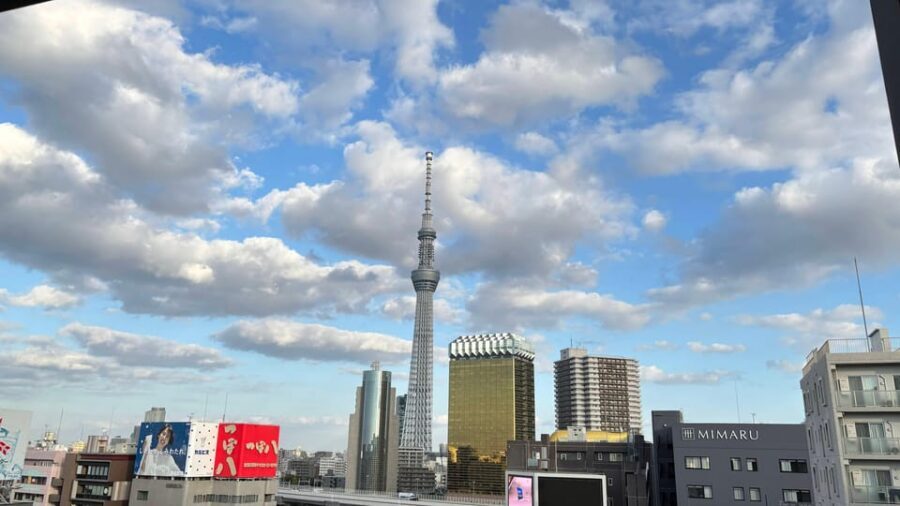 Tokyo Private Customizable Tour with a Local Guide - Private, customizable pacing with an English guide