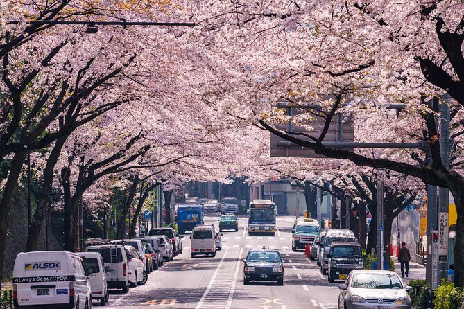 Tokyo Private Customizable Tour with English Speaking Chauffeur - Odaiba by Car: Tokyo Bay Views With Less Transit Stress