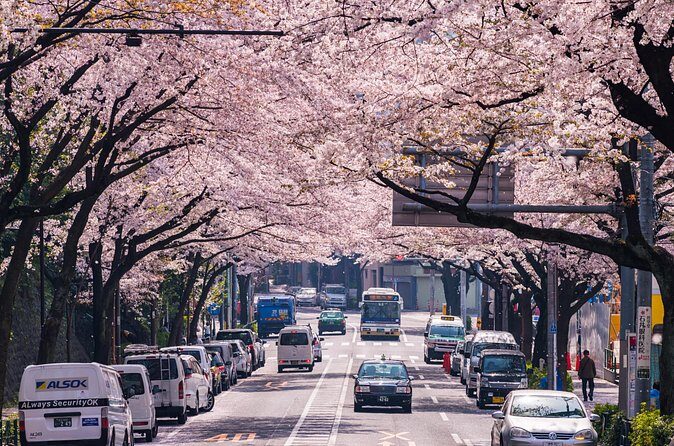Tokyo Private Customizable Tour with English Speaking Chauffeur - Guides Matter: What the English Chauffeur Experience Feels Like