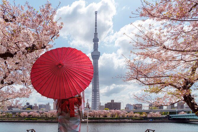Tokyo Private Customizable Tour with English Speaking Chauffeur - Stop-by-Stop: Senso-ji, Skytree, and Tsukiji’s Food-First Atmosphere