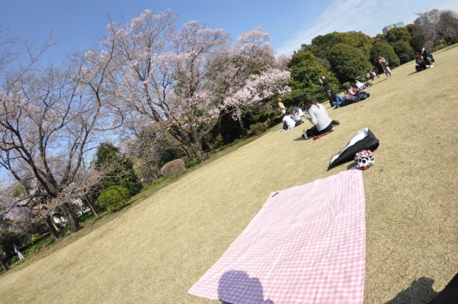 Tokyo: Private Cycling Tour with cute E-bike - Your guide is the secret ingredient: Brezza and Hiro san style