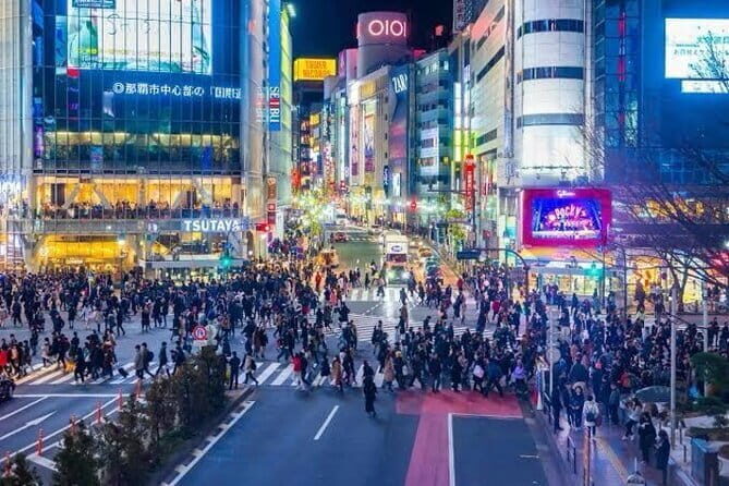 Tokyo Private Day Tour by Car with English speaking Driver - How the car changes the Tokyo experience (and not just comfort)