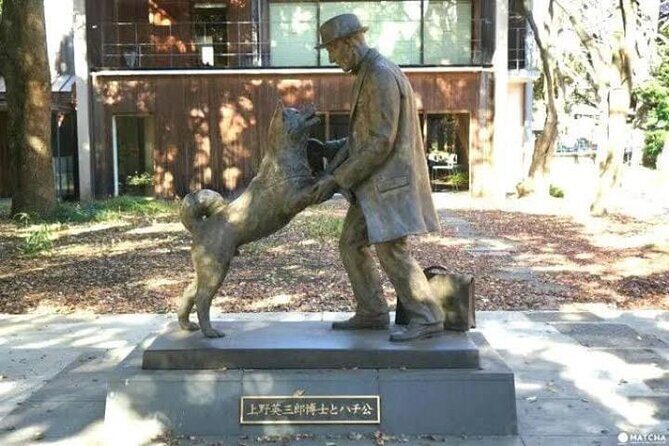 Tokyo Private Day Tour by Car with English speaking Driver Guide - Key things to know before you go