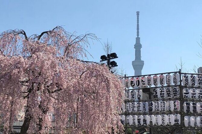 Tokyo Private Day Tour by Car with English speaking Driver Guide - Comfort and logistics: the stuff that quietly decides your day