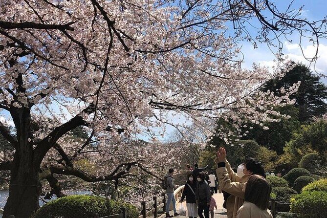 Tokyo Private Day Tour by Car with English speaking Driver Guide - Who should book this private Tokyo car tour