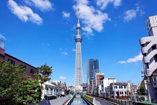 Tokyo Private Day Tour by Car with English speaking Driver - Senso-ji Temple and the street-food start that gets you oriented fast