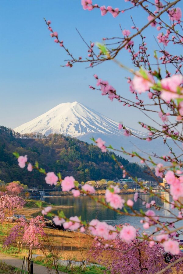 Tokyo: Private Day Trip to Mount Fuji and Hakone - Owakudani Valley: The One-Hour Reality Check in Hakone