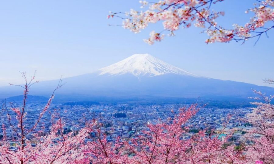 Tokyo: Private Day Trip to Mount Fuji and Hakone - Lake Kawaguchi and Oishi Park: Timing the Water and Flowers
