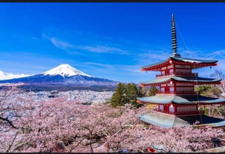 Tokyo: Private Day Trip to Mount Fuji and Hakone - Hakone by Ropeway and Lake Ashi: The Second Act of the Day