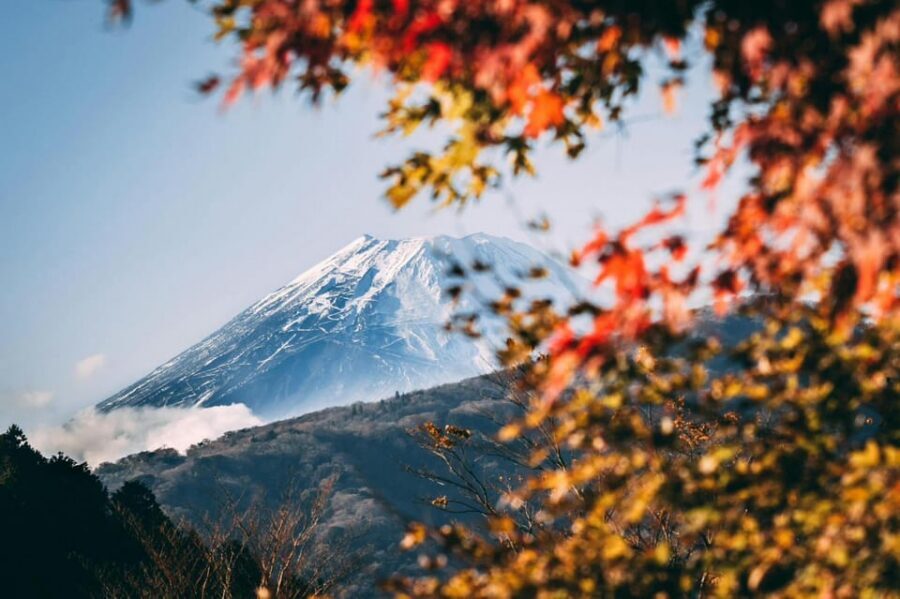 Tokyo: Private Day Trip to Mount Fuji and Hakone - Getting Picked Up in Tokyo (and Why It’s a Big Deal)