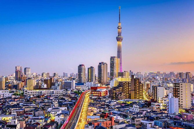Tokyo Private Full-Day Tour by Car or Van - Pickup, Wi‑Fi, and the driver-escort reality check