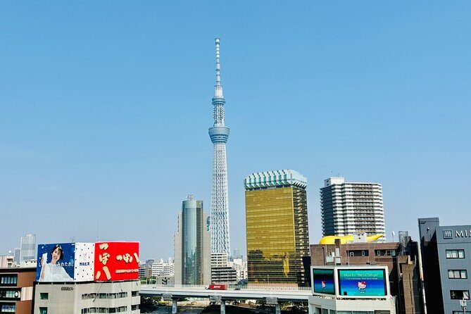 Tokyo Private Full-Day Tour by Luxury Alphard with Guide - Imperial Palace area: history without ticket drama