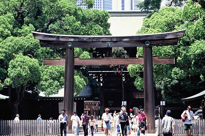 Tokyo Private Guided 1/2-Day Walking Subway Tour English guide - Key Points Before You Go