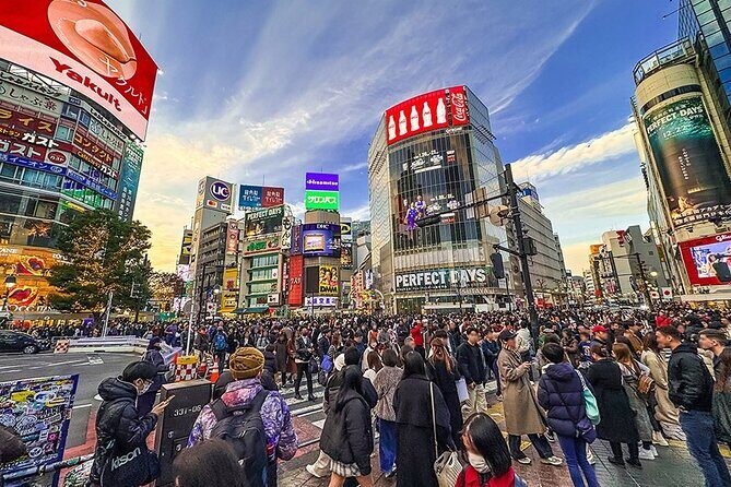 Tokyo Private Guided 1/2-Day Walking Subway Tour English guide - A 4½-Hour Tokyo Remix: The Real Payoff