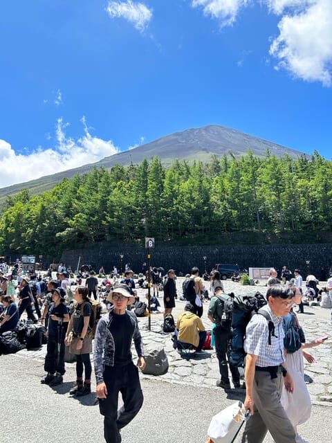 Tokyo: Private Half-Day Highlights Tour by Car with Guide - Comfort, Limits, and Who Should Choose This Format