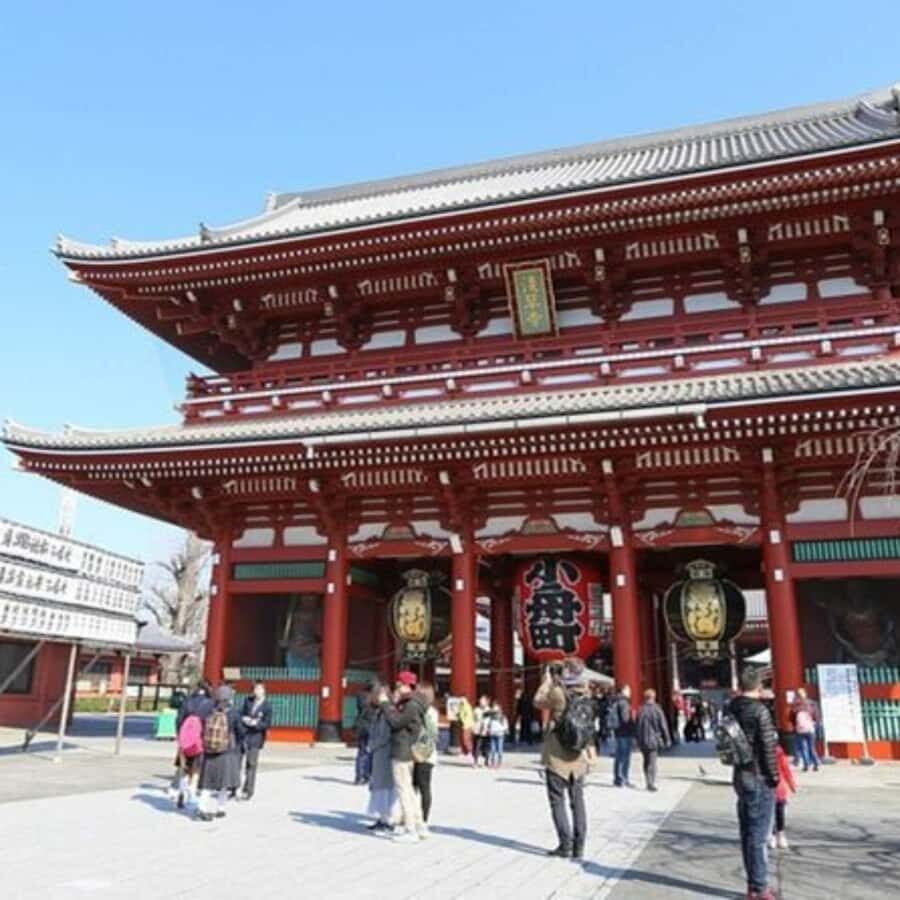 Tokyo: Private Instagramable Customised Tokyo City Day Tour - Key Highlights at a Glance