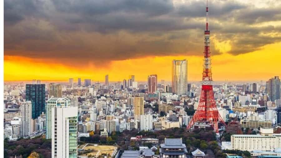 Tokyo: Private Instagramable Customised Tokyo City Day Tour - Luxury Vehicles and the Kind of Comfort You’ll Actually Notice